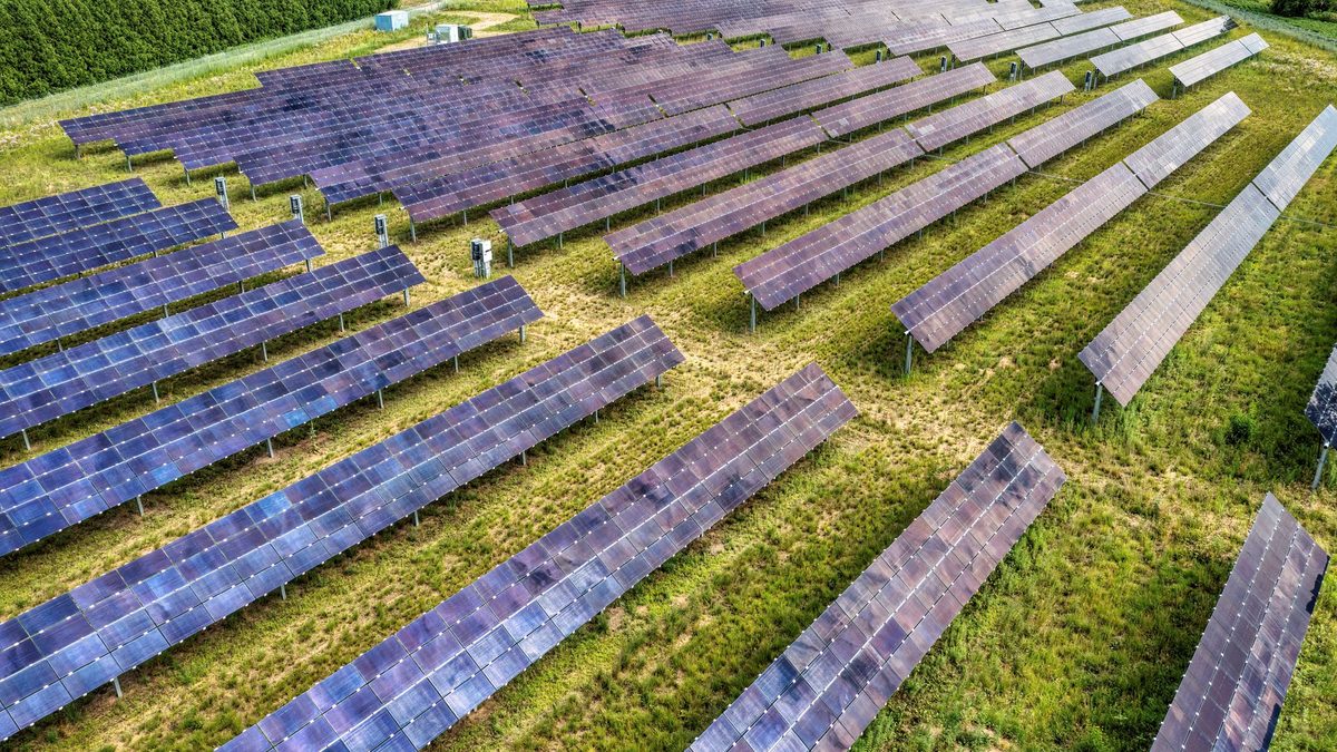 Representative image: single-axis tracker solar farm